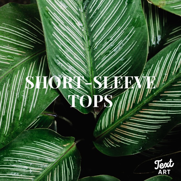 ♥️ - Picture 1 of 1